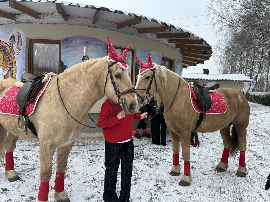 Здається будинок подобово, чан, сауна, зал