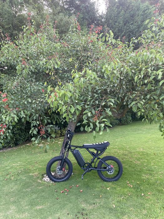 Ridstar q20.