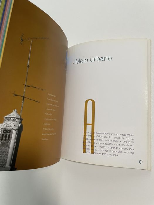 Livro Aves do Parque Natural do Vale do Guadiana