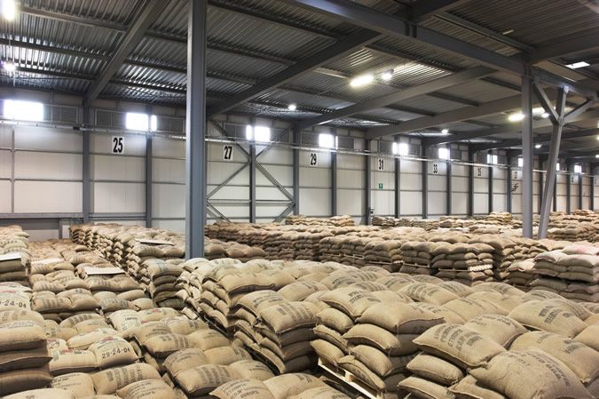 Кава ЗЕЛЕНА в зернах ОПТ 1кг