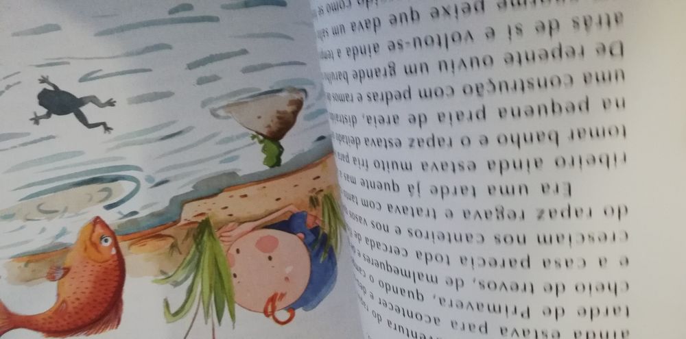 Livro "o segredo do rio"