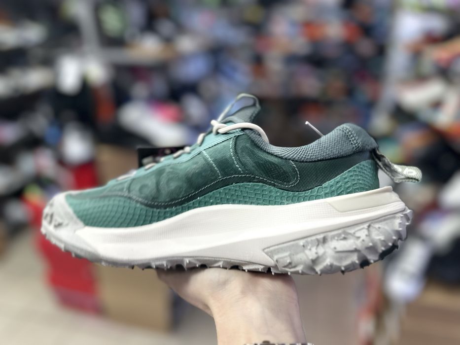 Кросівки Nike ACG Mountain fly 2 low