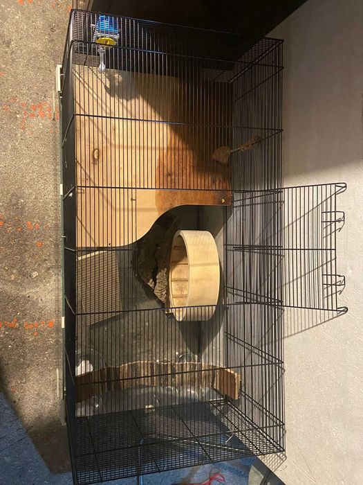 Gaiola para Roedores Pequenos