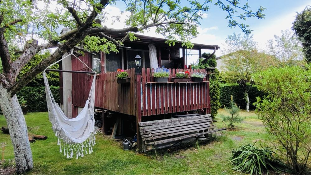 Działka ROD Międzylesie Zachód (720 m2), Wudzyn - blisko Bydgoszczy, na skraju Borów Tucholskich