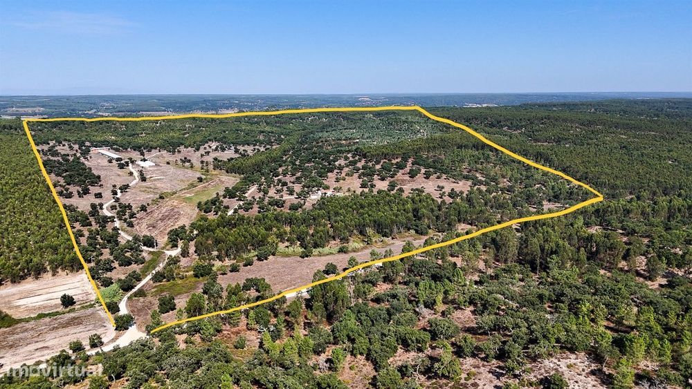 Herdade com total de  140 ha na freguesia da Raposa, Almeirim