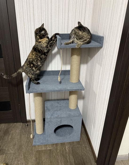 Кігтеточка  комплекс для кота