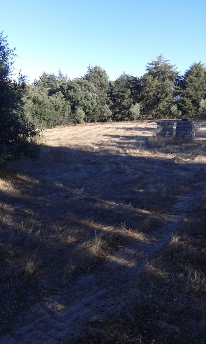 Terreno 7,800 m2  em Azambuja 60.000 €