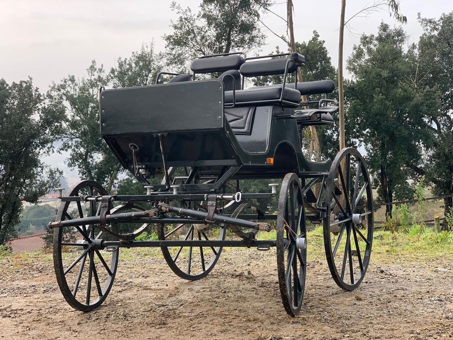 Charrete spider 1/2 cavalos