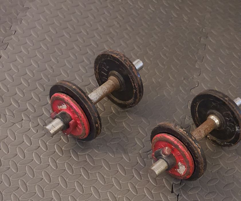Vendo  halteres 30kg total