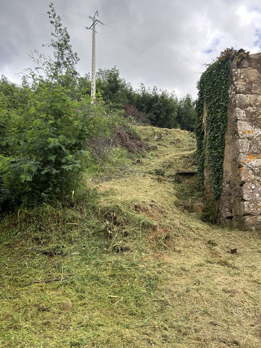 Limpeza de terrenos