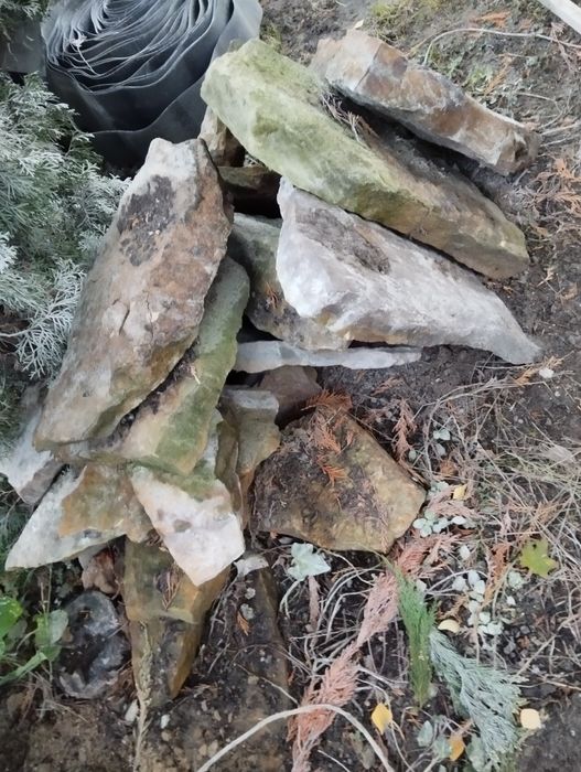 Kamień dekoracyjny na skalniak