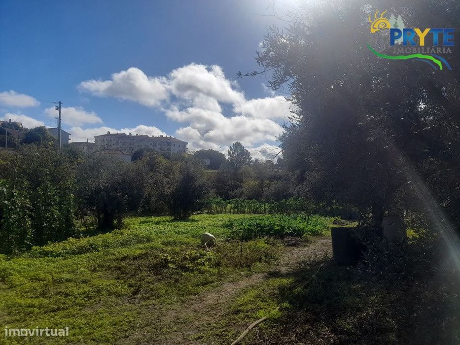 Terreno com 6000 metros quadrados em Linhares - Proença-a-Nova — Proença-A-Nova E Peral, Castelo Branco
