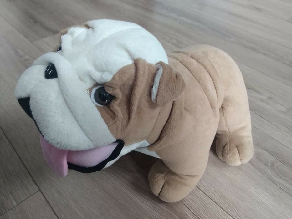 Maskotka z firmy Mini