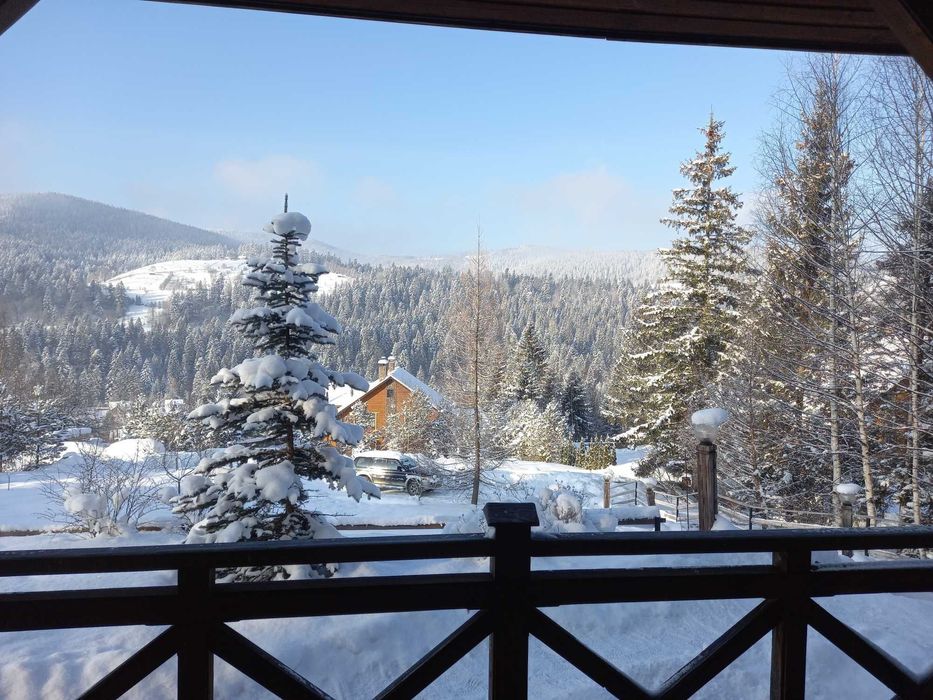 Відпочинок в Карпатах.Оренда будинка в горах .Котедж "Лара" Микуличин