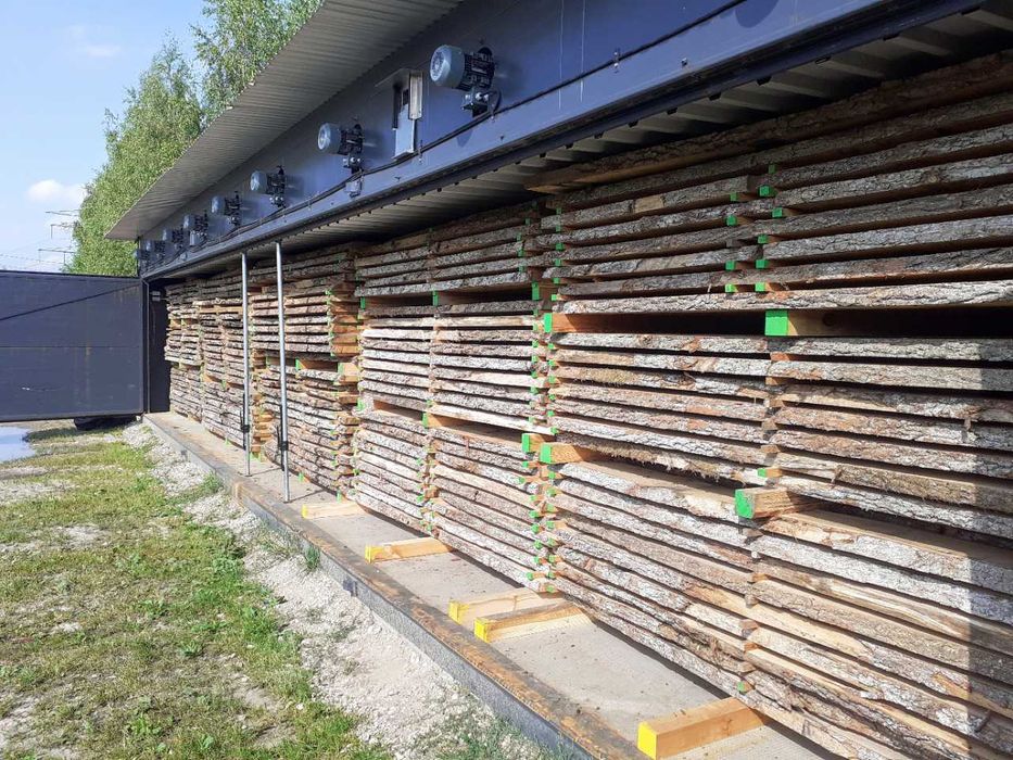 Tarcica jesionowa sucha po suszarni