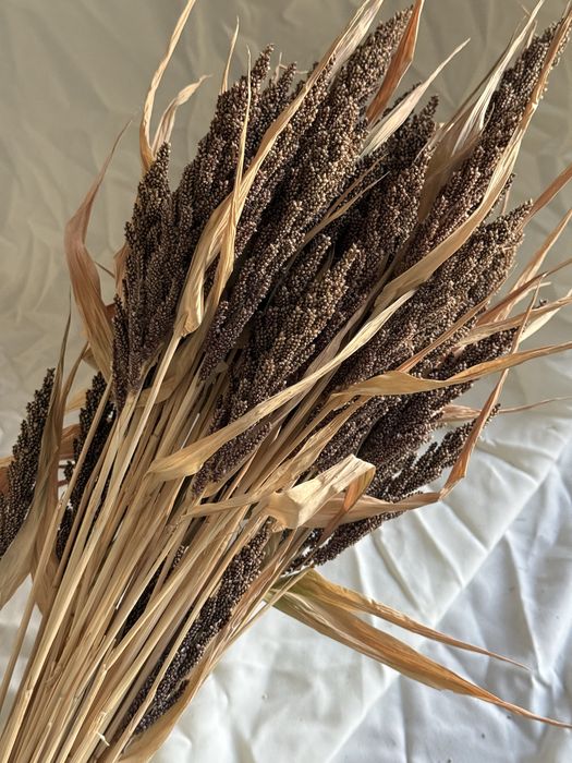 Сухоцвіти льон пшениця