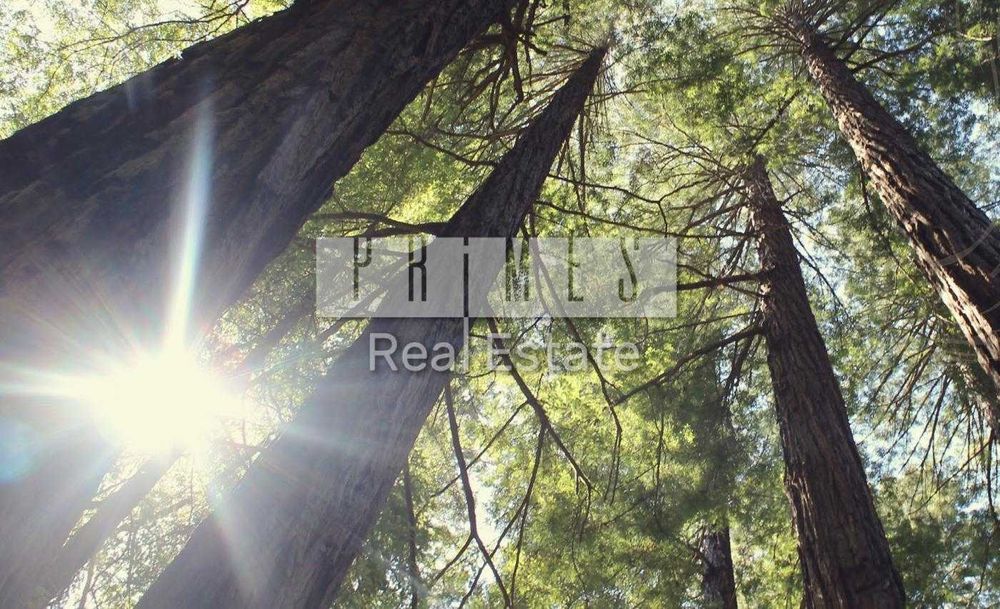 Продажа 5к дом 250м2, PINE VILLAGE, ул. Обуховское шоссе, Козин