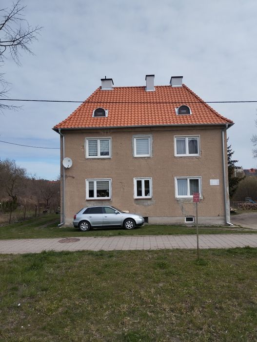 Zdjęcie 7