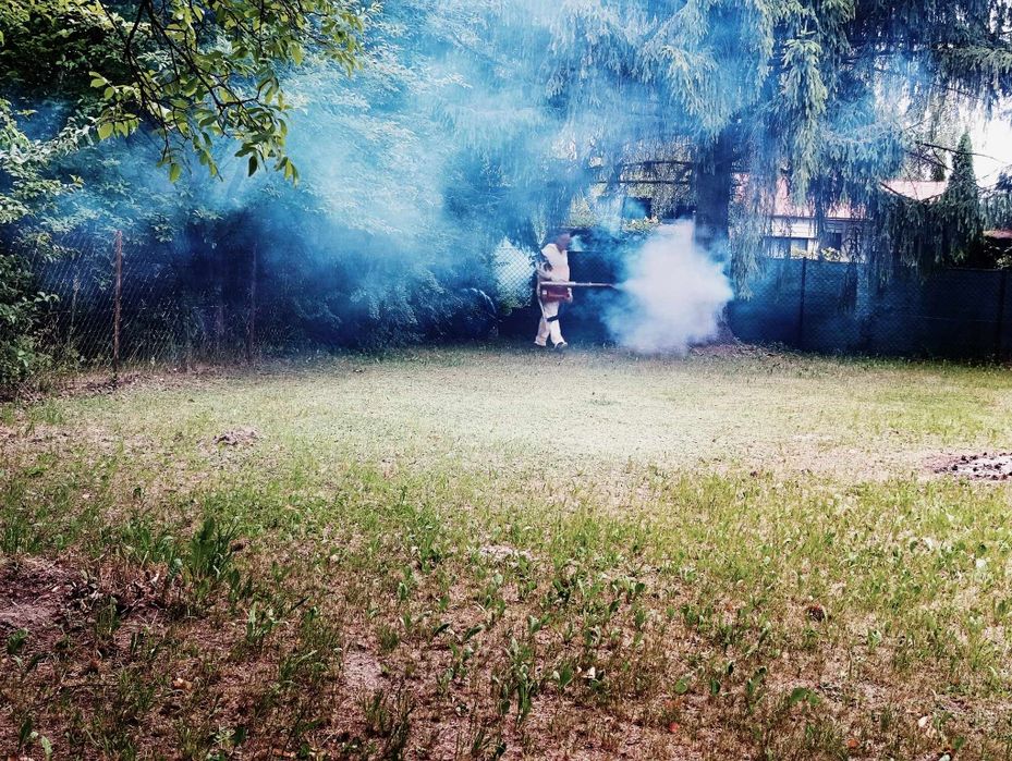 PROFESJONALNE Odkomarzanie kleszcze komary pluskwy karaczany