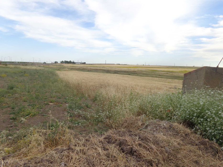 Terreno Junto à estrada, a 600 metros de Beja