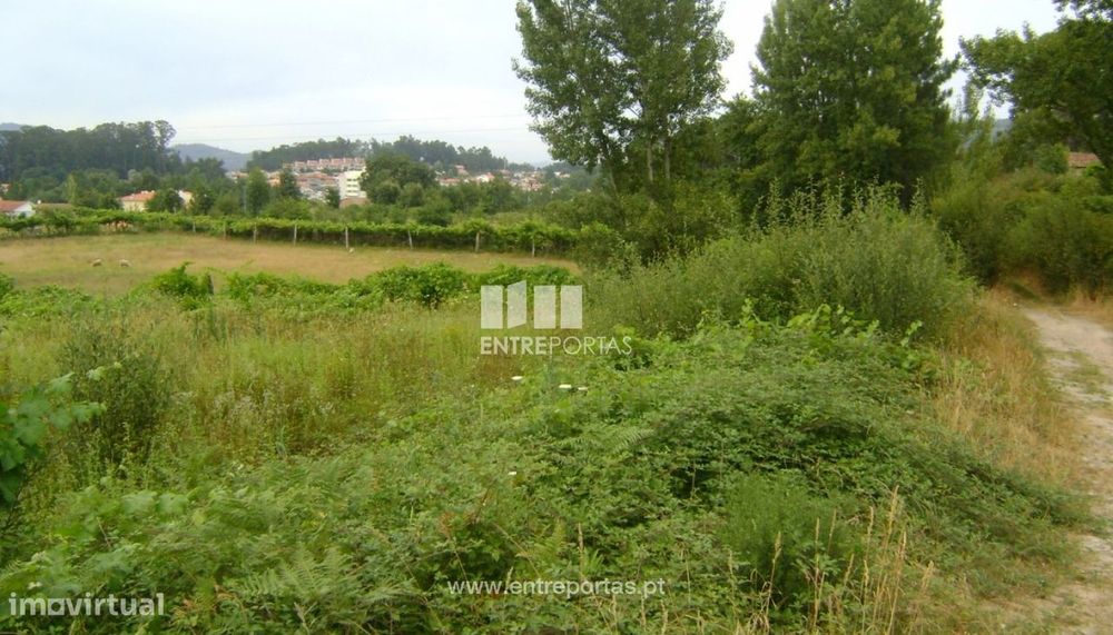 Venda Terreno, Ariz, Marco de Canaveses — Pêra Velha, Aldeia De Nacomba E Ariz, Viseu