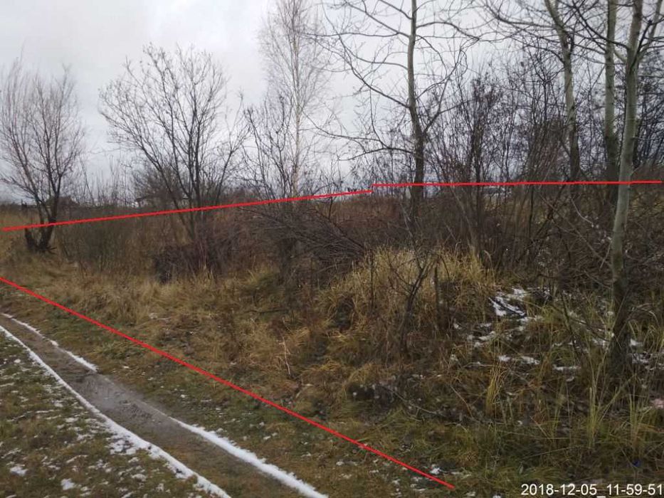 Продаж земельної ділянки 16,4сот Новоград-Волинський СГТ Ветеран 7000$