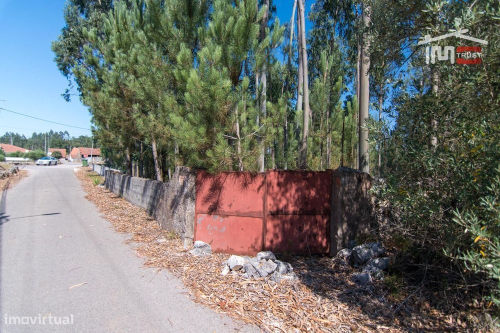 Terreno Em Moita Do Martinho A 5 Min De Fátima — São Mamede, Leiria