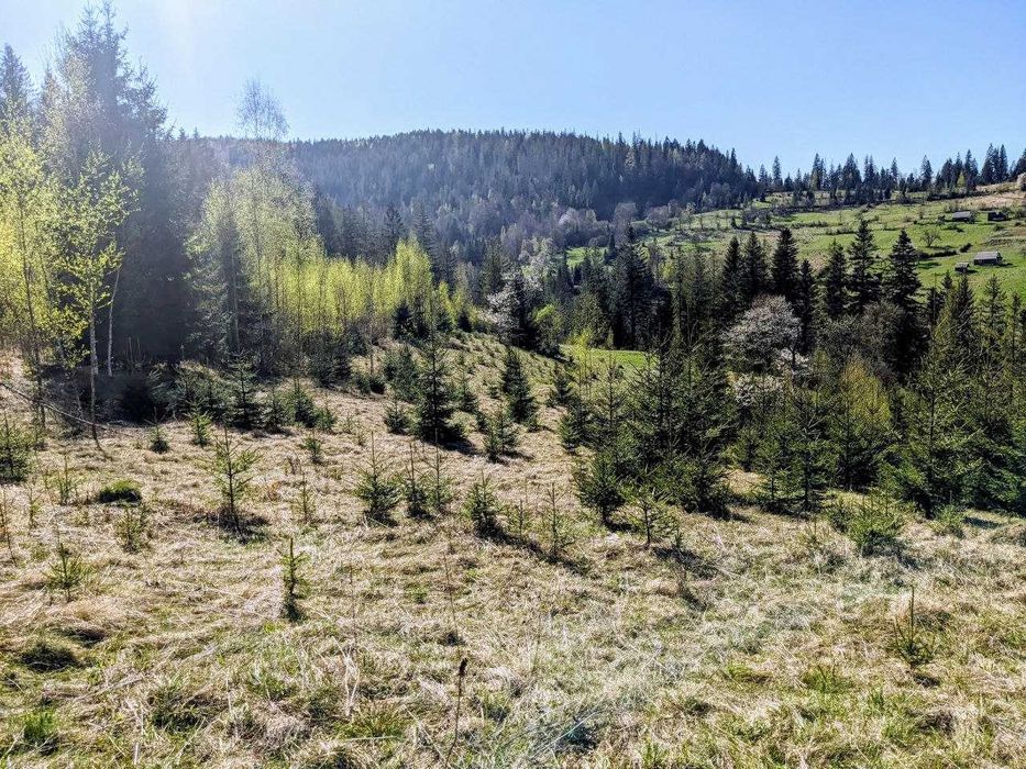 Видова ділянка в Микуличині 72 сот