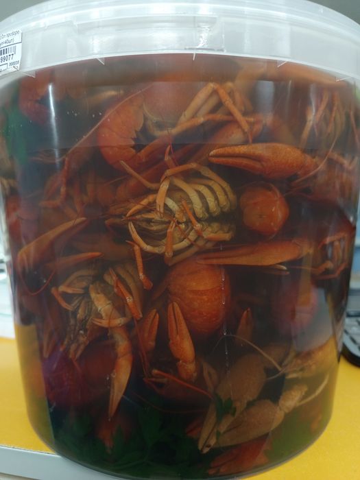 Продам живі раки