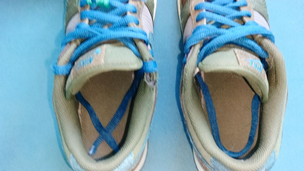 Nike Dunk low NH Cacao wow-marina blue rough