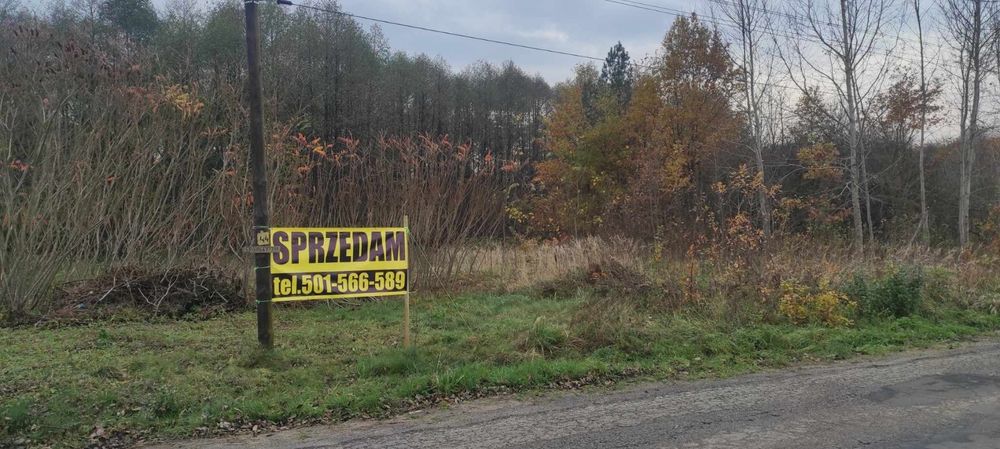 Działka budowlana Borzykówka 2700 m² gm.Żytno pow. radomszczański, woj. łódzkie - Widok 3