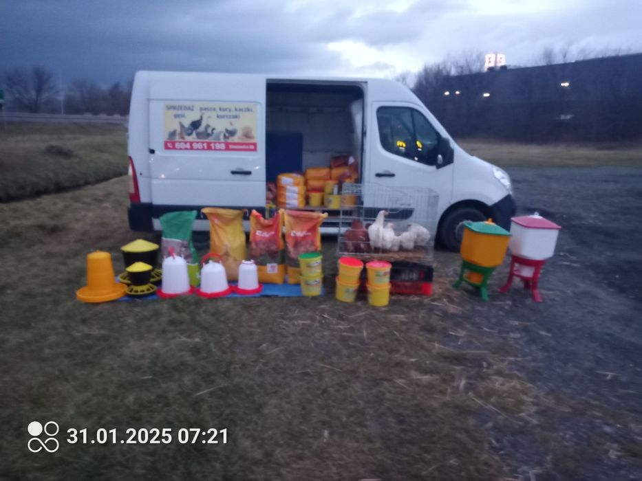 zapraszam po młode kurki