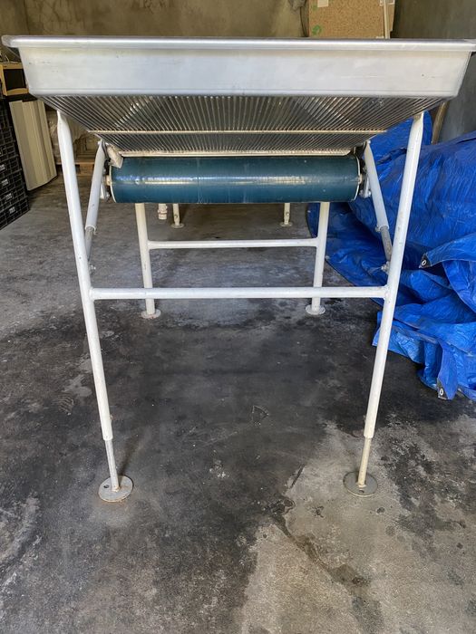 Passadeira usada para escolher mirtilo