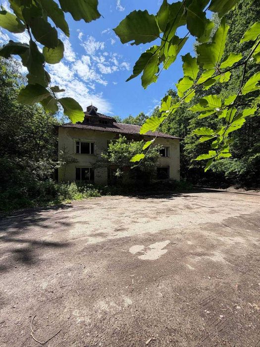 Продаж будинку в лісі