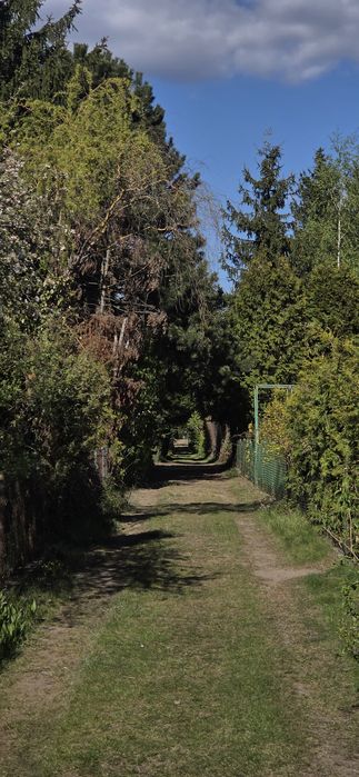 Działka 300m2 ROD "Gaj" Janowiecka