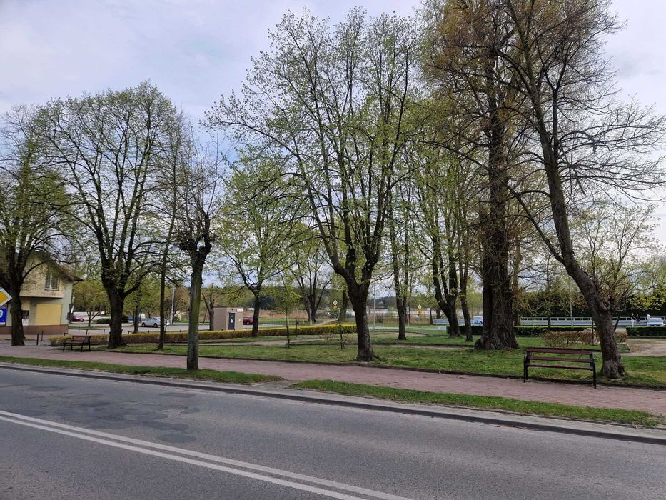 Działka inwestycyjna Głowno centrum miasta 32m szerokości 1592m2