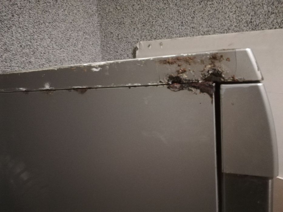 Zmywarka Bosch Sps25fi03e, szer. 45cm