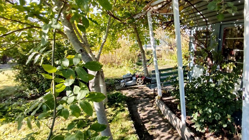 Na sprzedaż działka ROD – ul. Mickiewicza, Białystok – ok. 300 m²