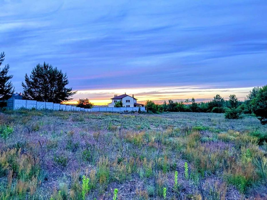 Ділянка с соснами 6 сот с. Білогородка - View 2