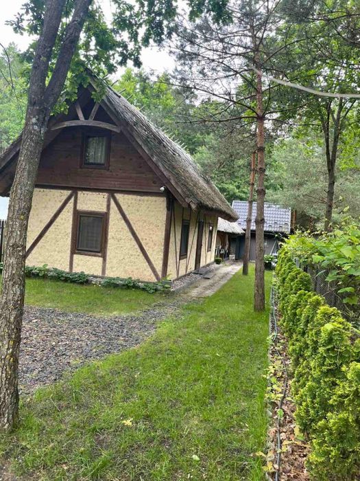 Оренда будинку (Соловичі)