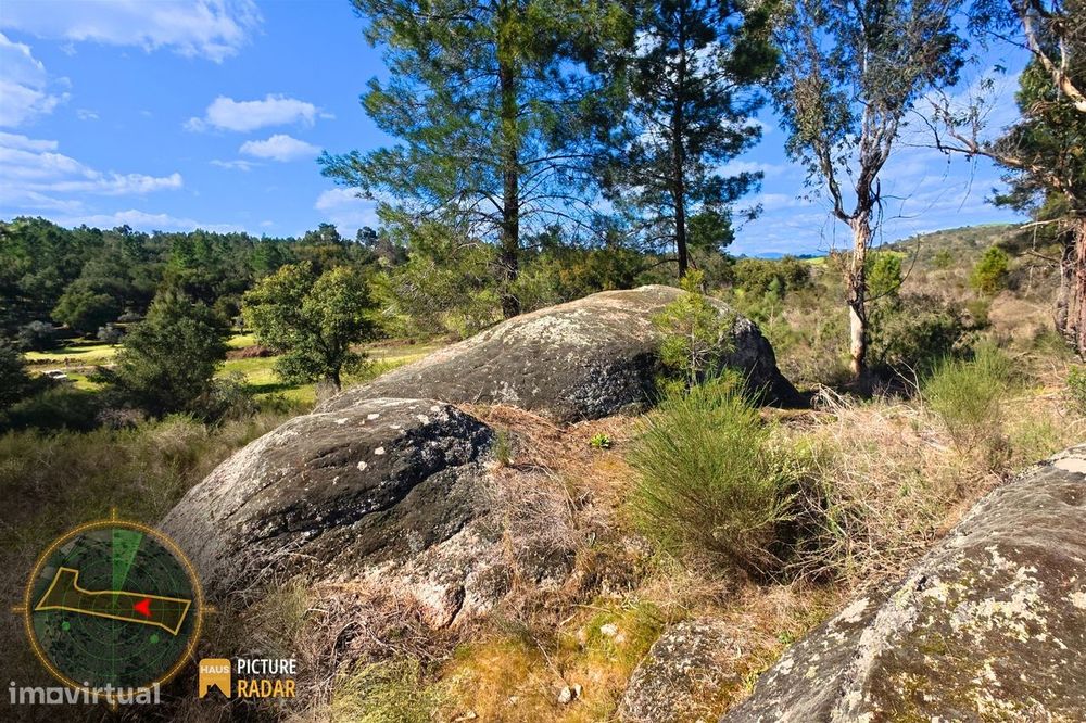 Terreno 1.1ha com Ruína e Vale Fértil | Cafede, Castelo Branco