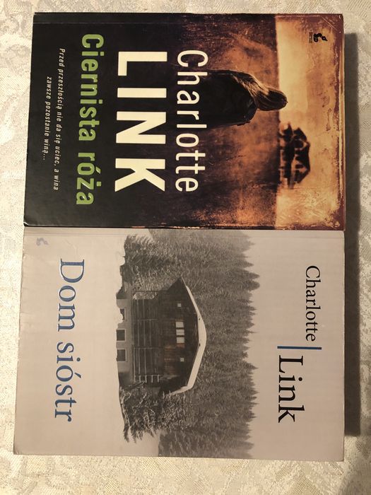 Charlotte Link Ciernista róża Dom sióstr