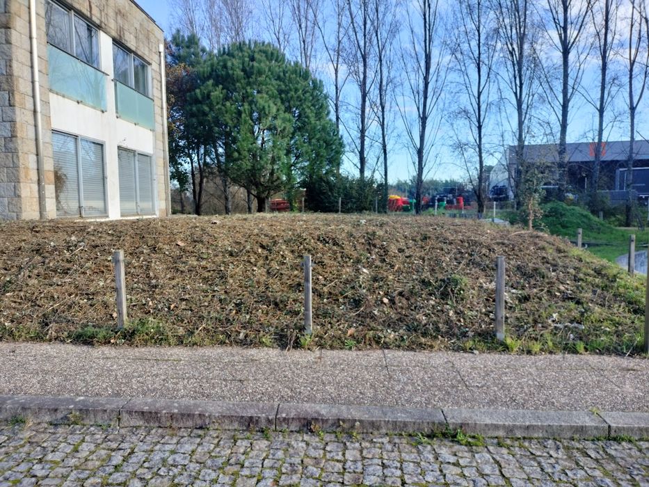 Limpeza de terrenos mato e jardins