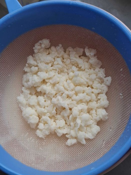 Grzybek tybetański, zdrowy kefir
