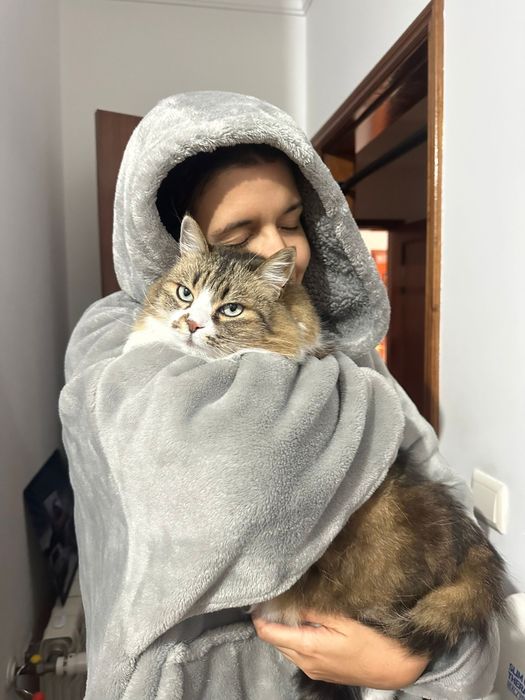 Tomar conta/ Passeio de caẽs. Dog walking. Petsitting. Pet care