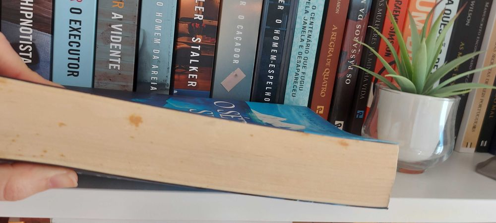 Livro o setimo selo - jose rodrigues dos santos