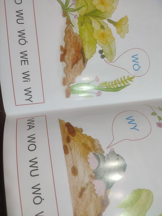 Sylaby w świecie zwierząt Agnieszka Bala