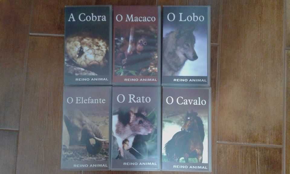 6 vídeos VHS - Animais