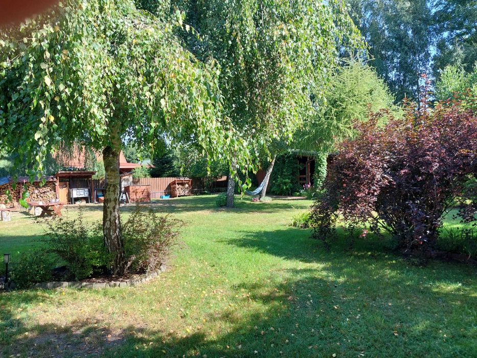 Szczechy Małe – wyjątkowa działka 1010 m² z pięknym ogrodem, domkiem i dostępem do jeziora Roś