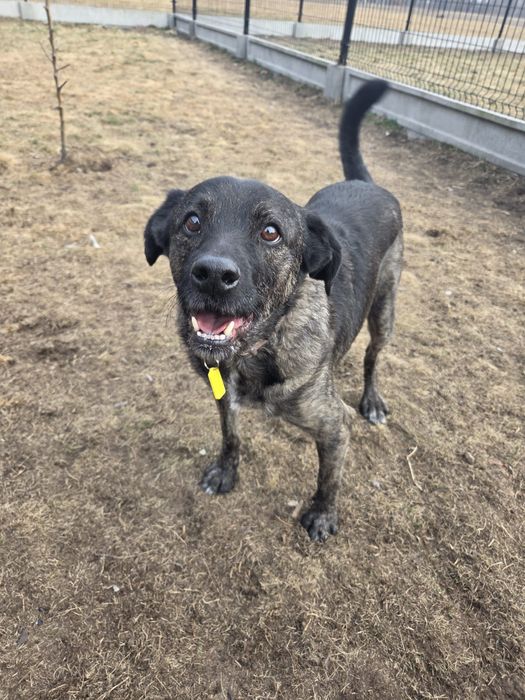 Kobi proś o miłości i dom